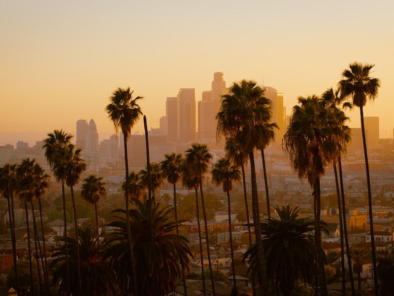 Los Angeles wedding videographer, Love and Lustre