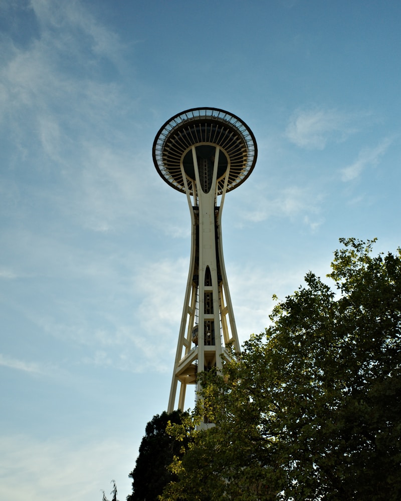 Wedding venue in the Pacific Northwest, evergreen forests and mountain light